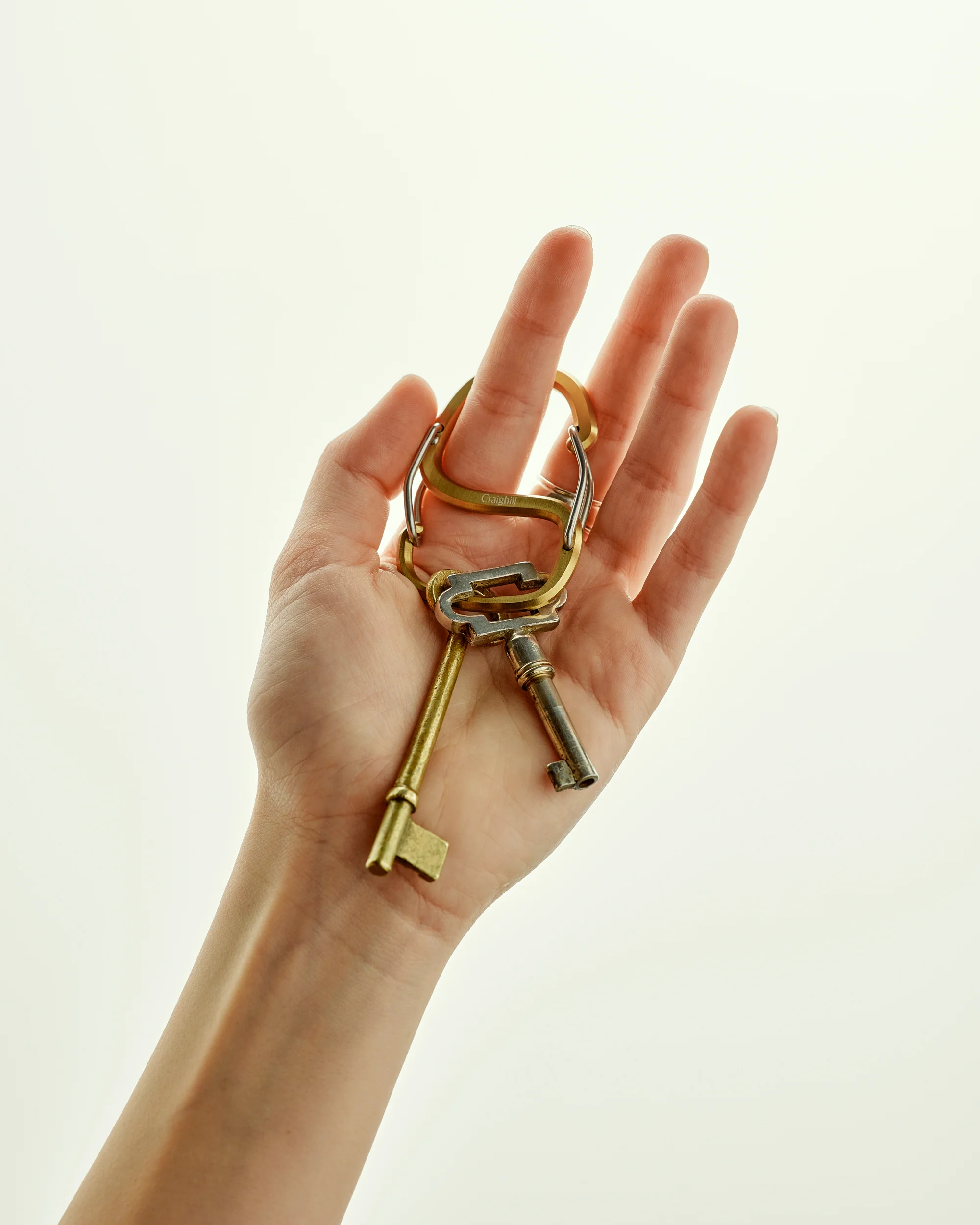 Coachwhip Carabiner - Image 9